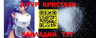 стафф Донской