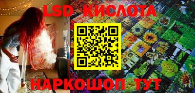 стафф Донской