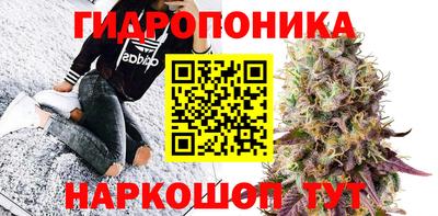 гидра Донецк