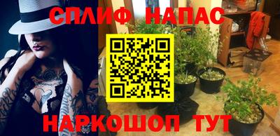 ешки Дубна