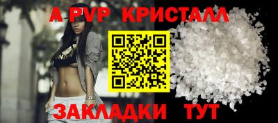 стафф Донской