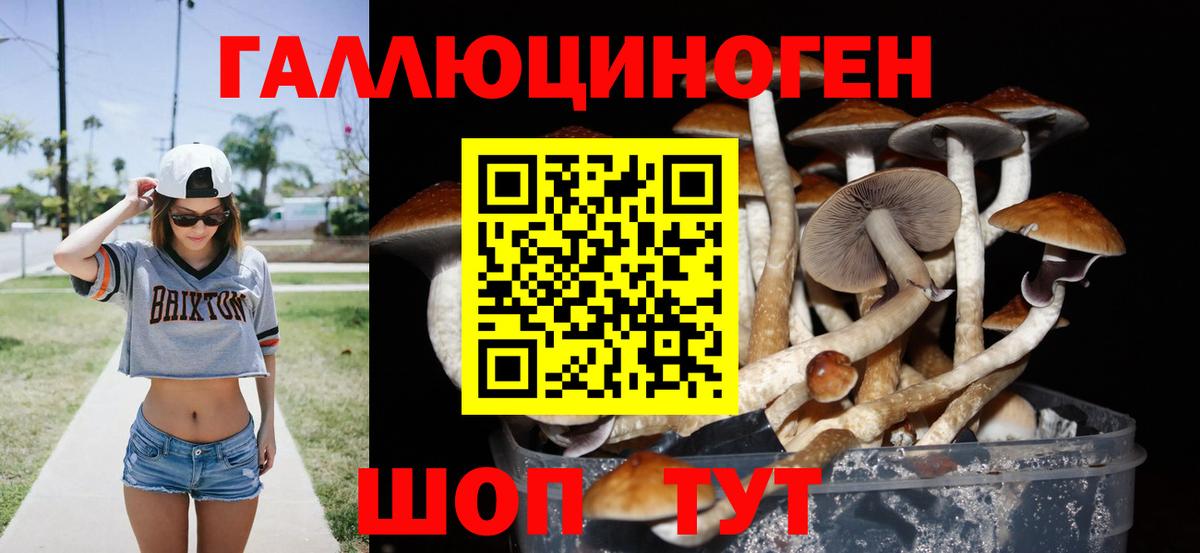 Галлюциногенные грибы прущие грибы Магадан